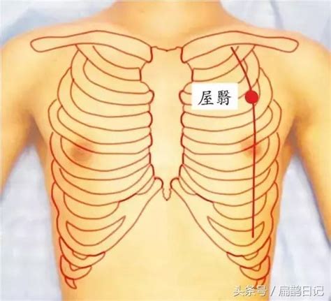 奇門穴位置|人體穴位大全——期門穴：胸脅滿痛，黃疸，嘔吐，呃。